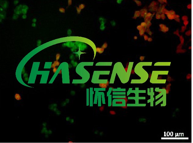 JC-1细胞线粒体膜电位检测