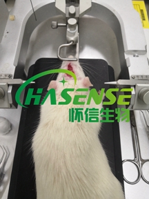 AD模型构建