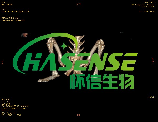 小动物MicroCT