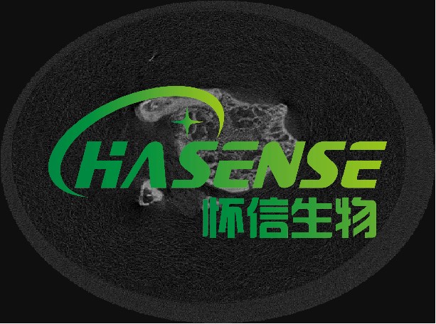 骨质疏松模型