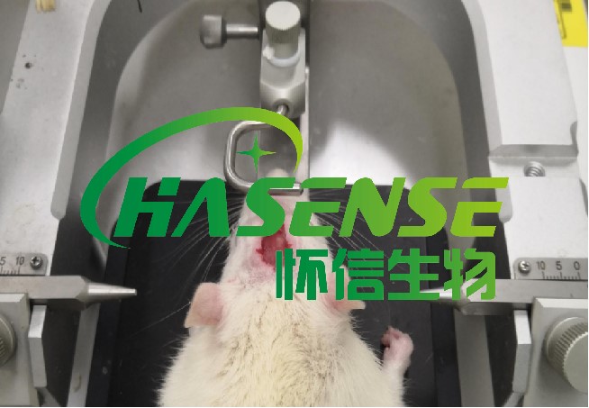 AD模型构建