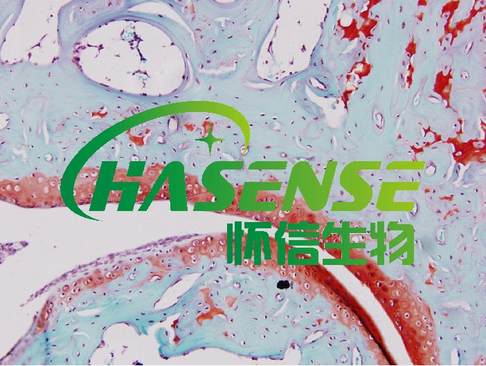 番红O-固绿染色